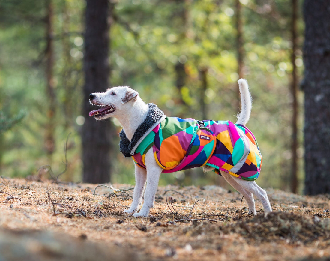 Pomppa Toppa manteau imperméable doublé pour chien Kymppi