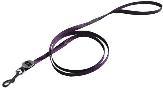 Laisse Basic violet chat