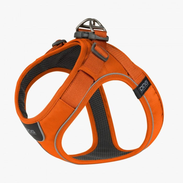 Harnais Confort WALK GO ORANGE