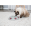 Cat Activity Pentagon