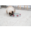 Cat Activity Pentagon