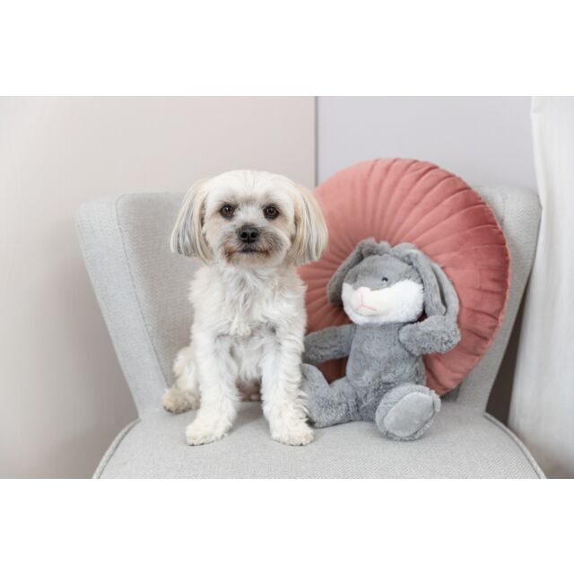 Peluche Evan 25 cm
