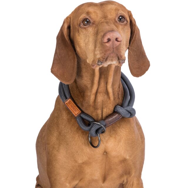 BE NORDIC COLLIER CHIEN  EN CORDE