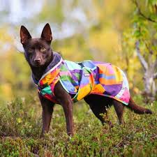 Pomppa Perus manteau imperméable pour chien Kymppi