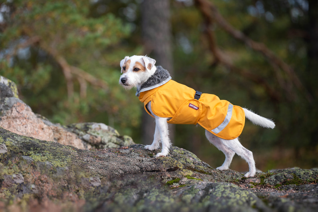 Pomppa Perus manteau imperméable pour chien Curry