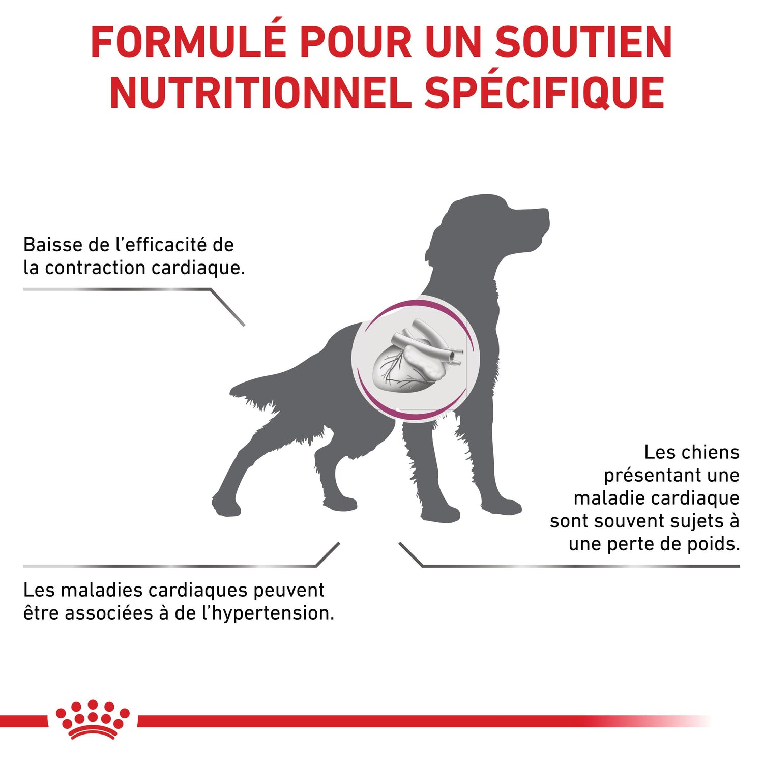 Royal Canin Veterinary Cardiac