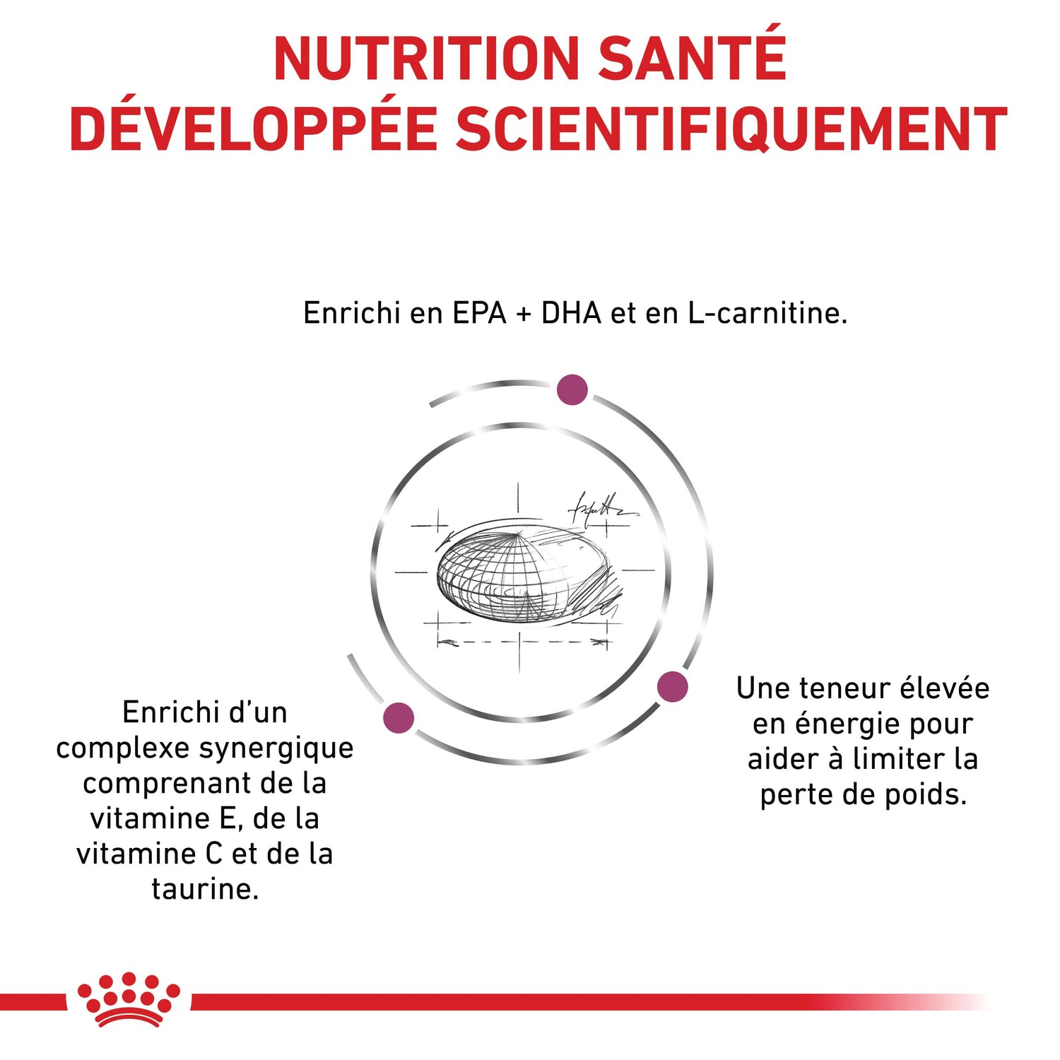 Royal Canin Veterinary Cardiac