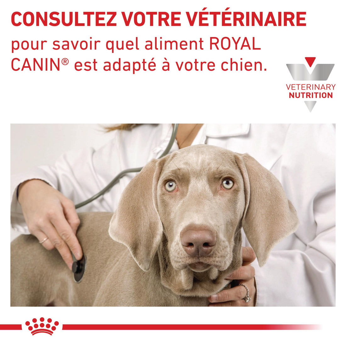 Royal Canin Veterinary Cardiac
