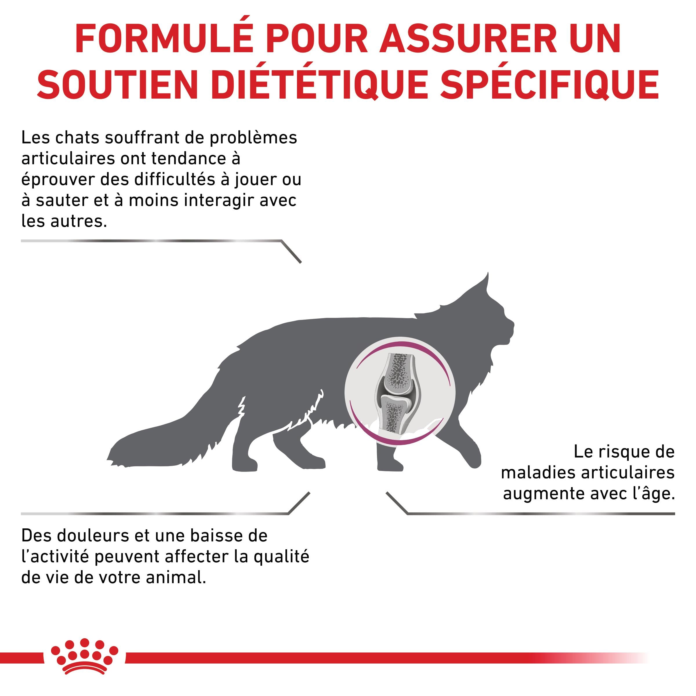 Royal Canin Veterinary Mobility