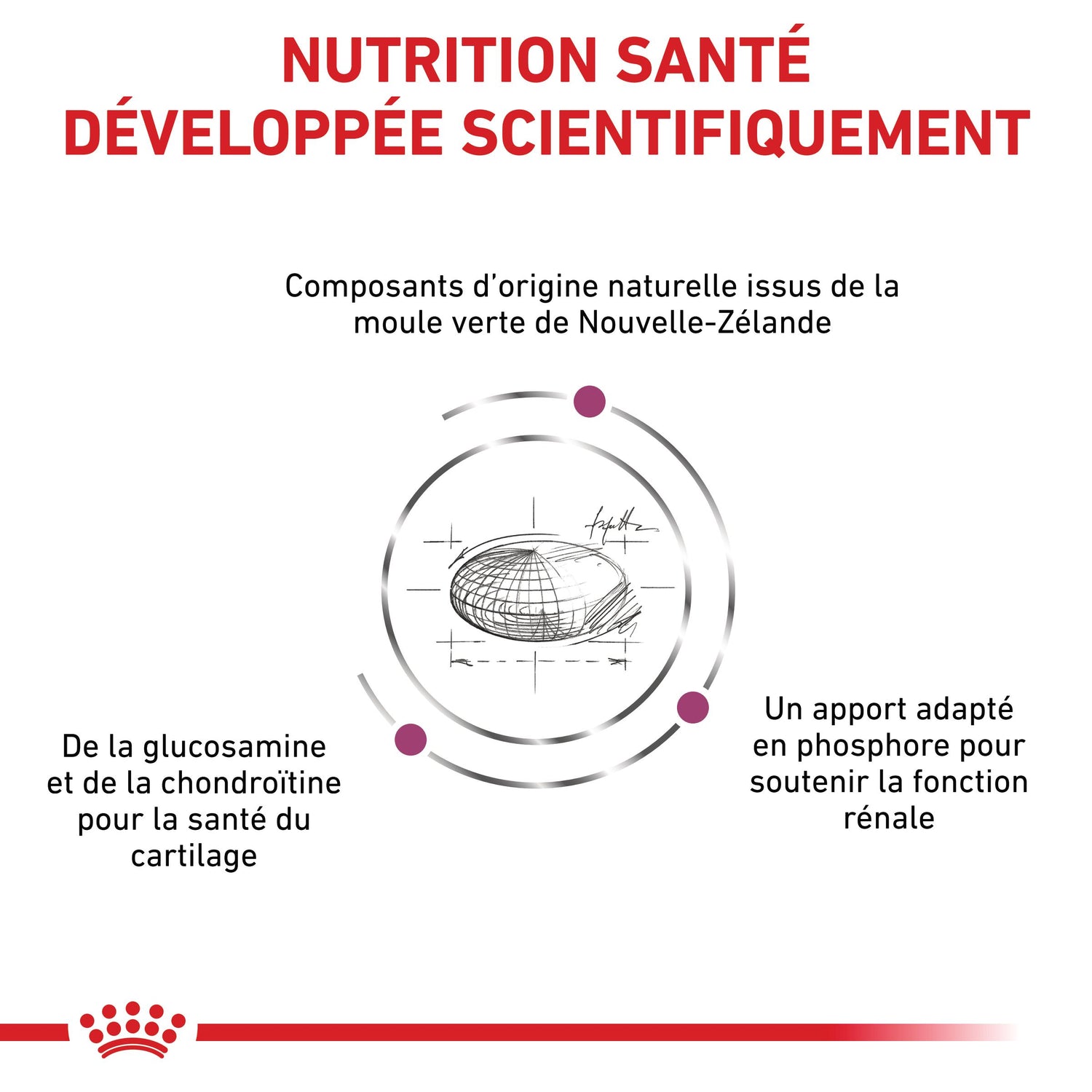 Royal Canin Veterinary Mobility