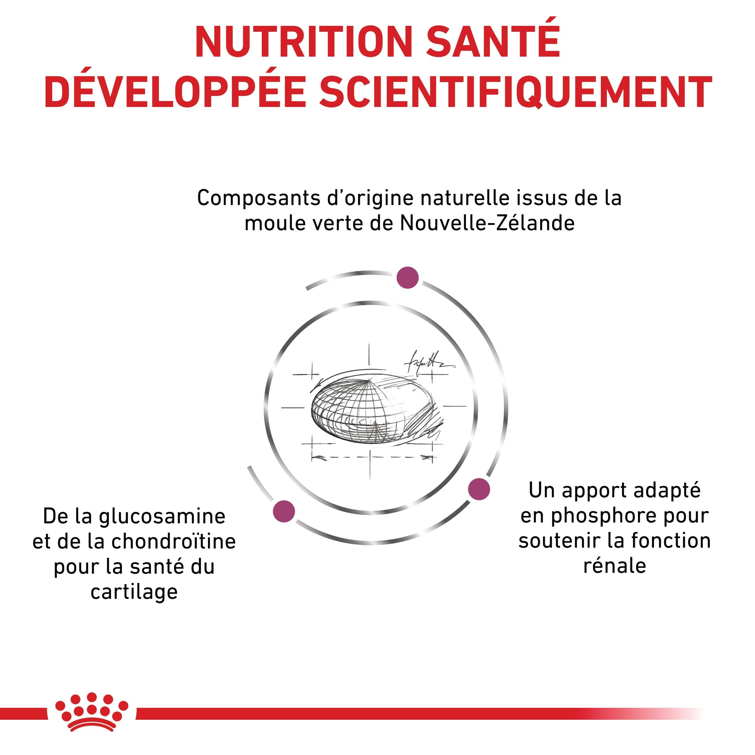 Royal Canin Veterinary Mobility