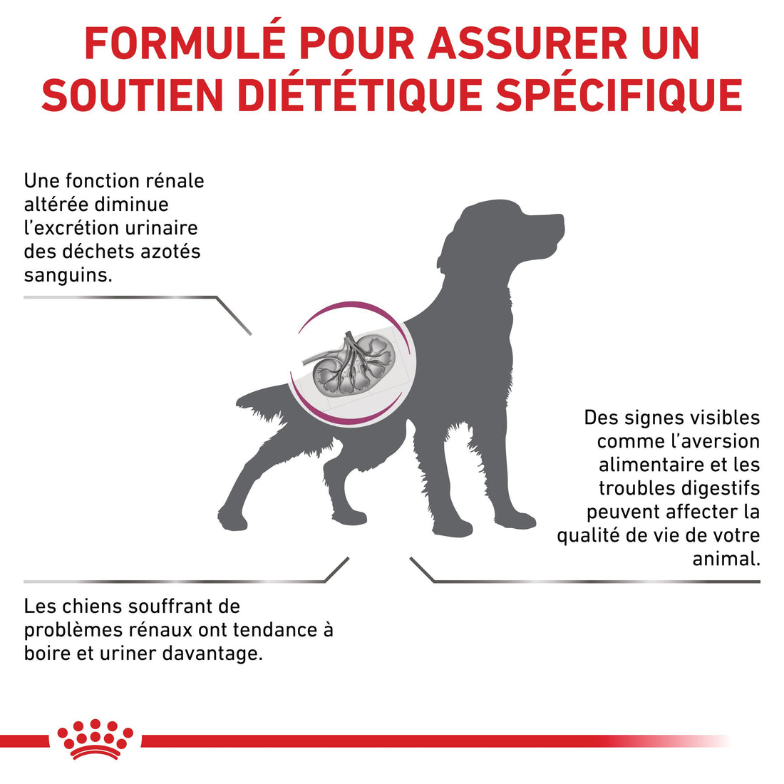 Royal Canin Veterinary Renal - Aliment pour chien
