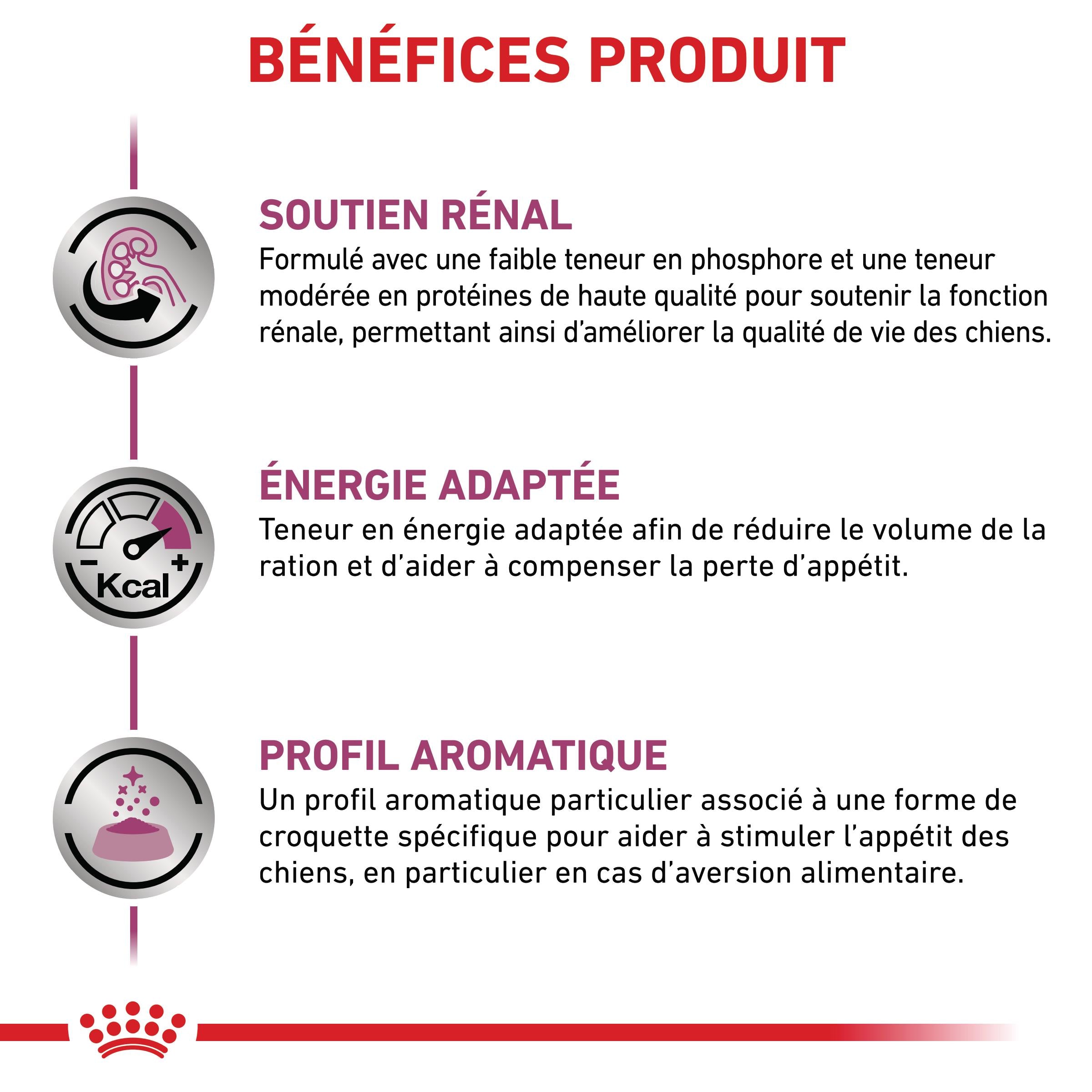 Royal Canin Veterinary Renal - Aliment pour chien