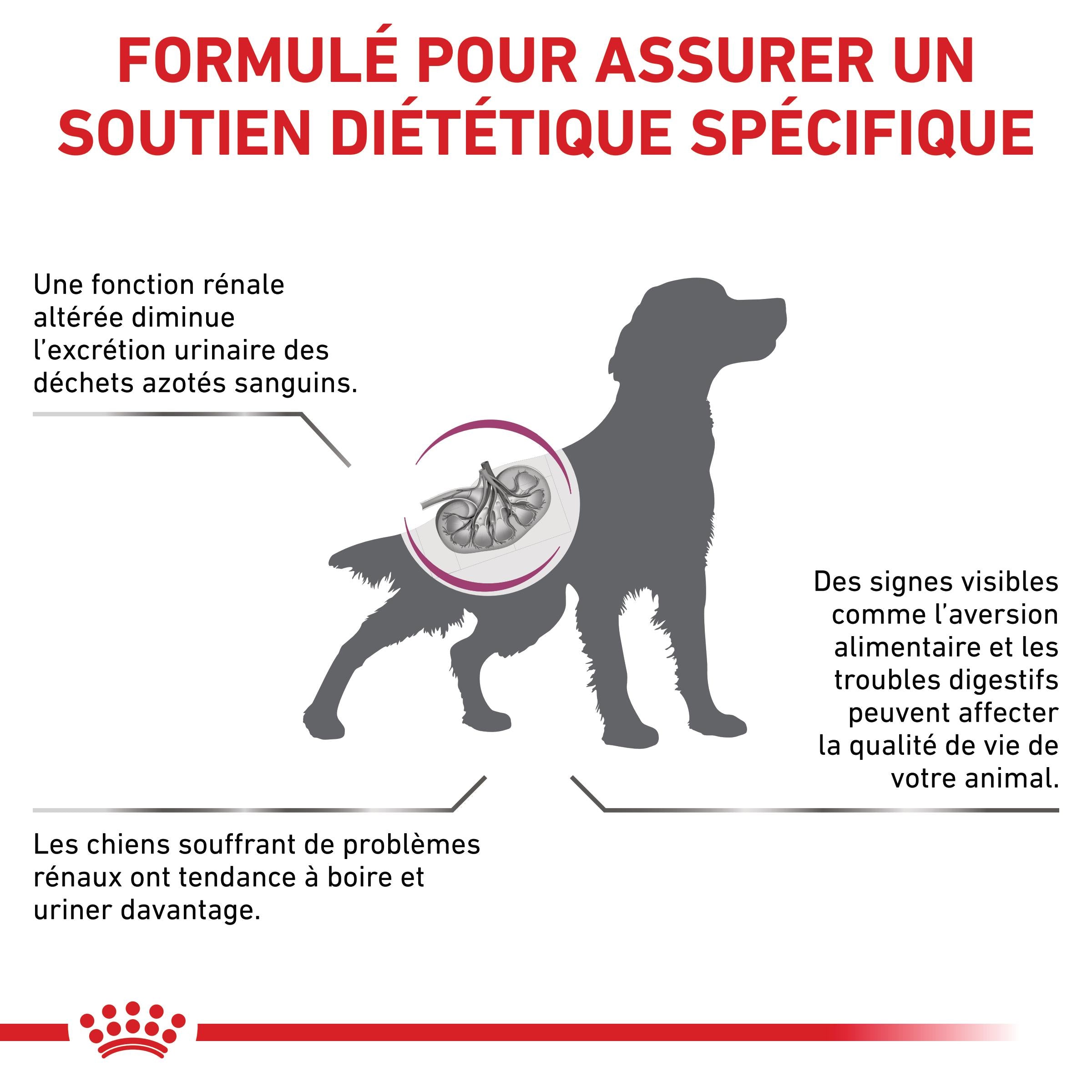Royal Canin Veterinary Renal Select - Croquettes pour chien