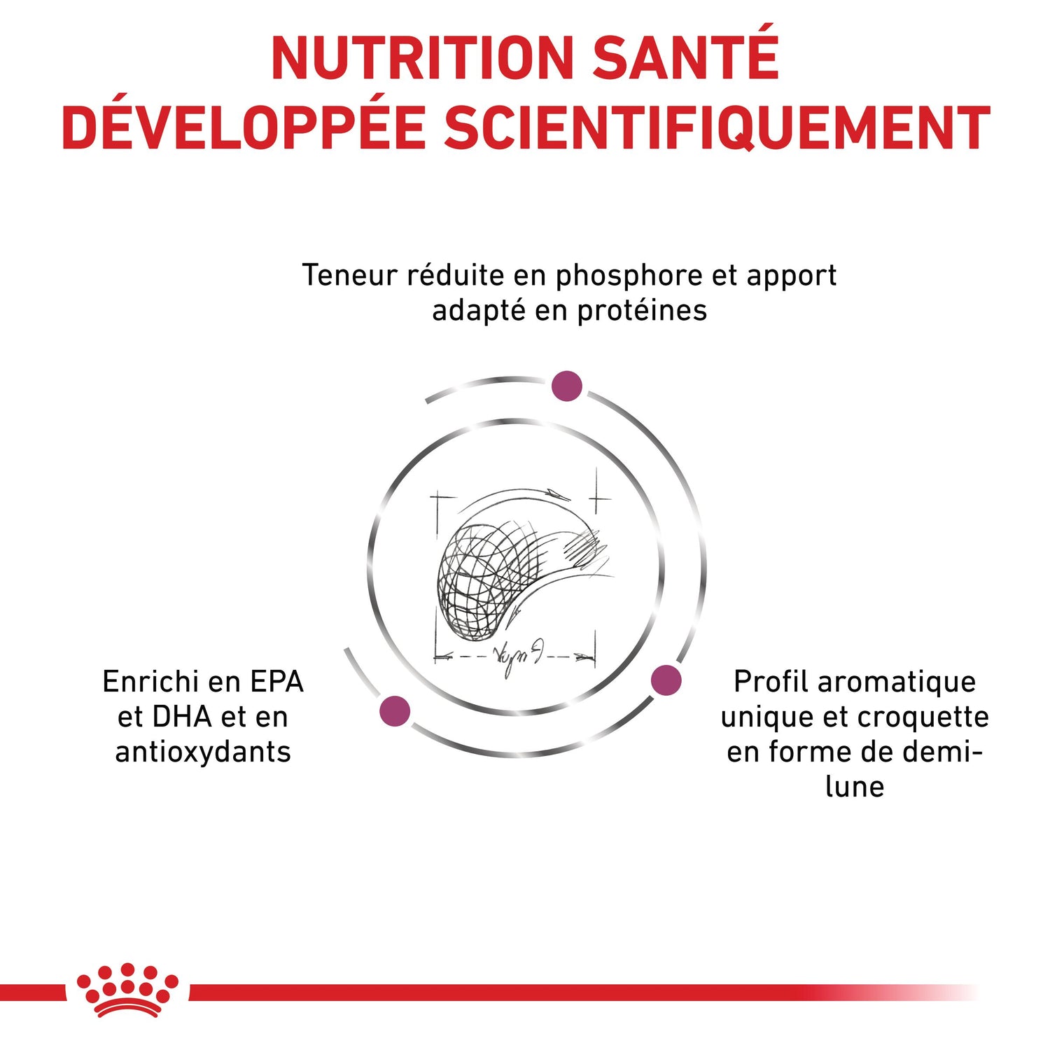 Royal Canin Veterinary Renal Select - Croquettes pour chien