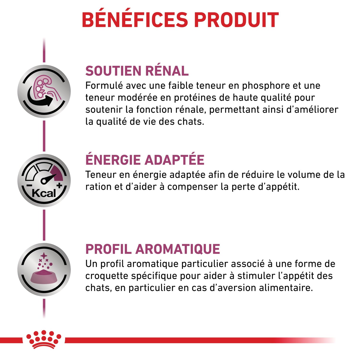 Royal Canin Veterinary Renal Special - Aliment pour chat