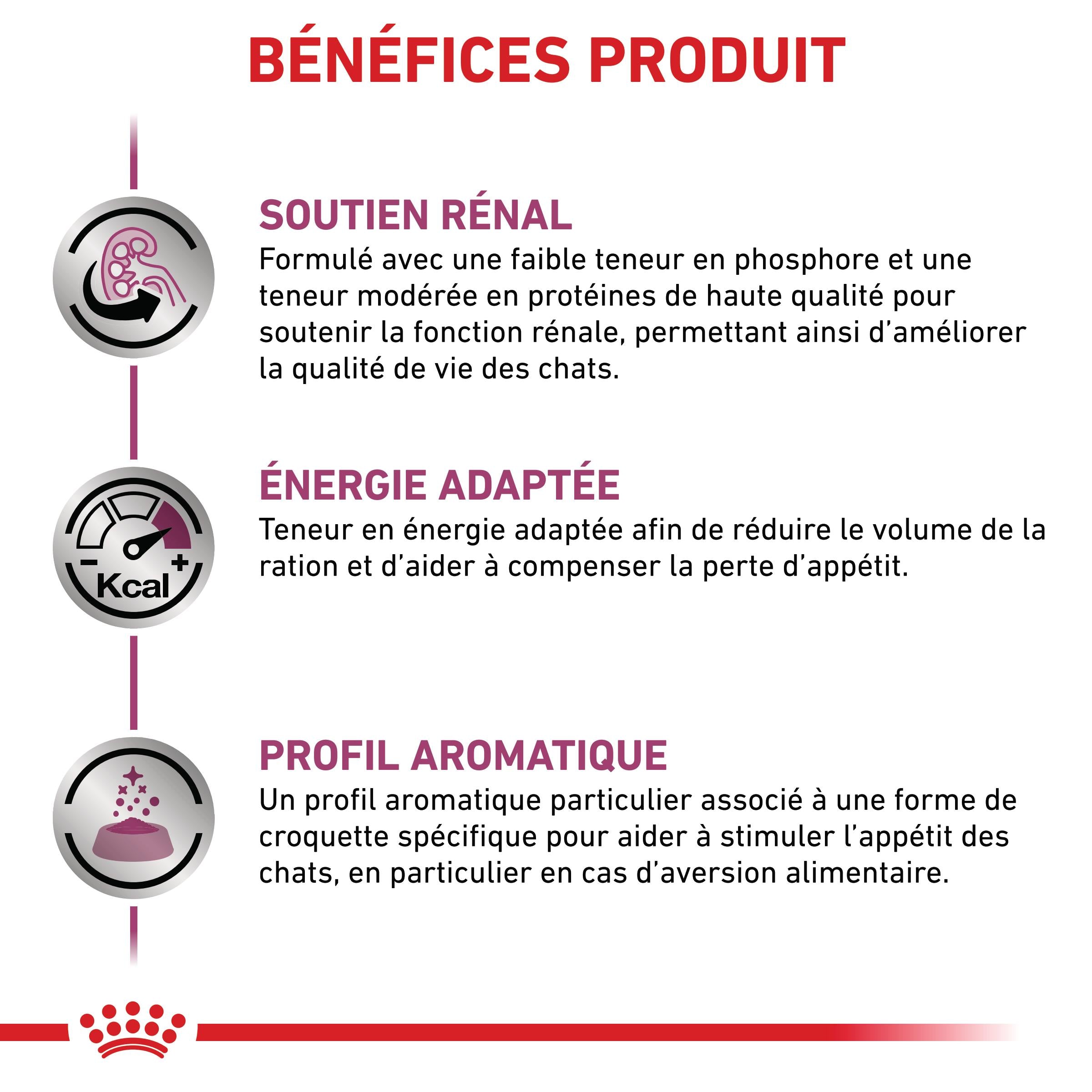 Royal Canin Veterinary Renal Special - Aliment pour chat