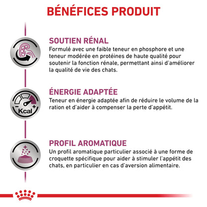 Royal Canin Veterinary Renal Special - Aliment pour chat