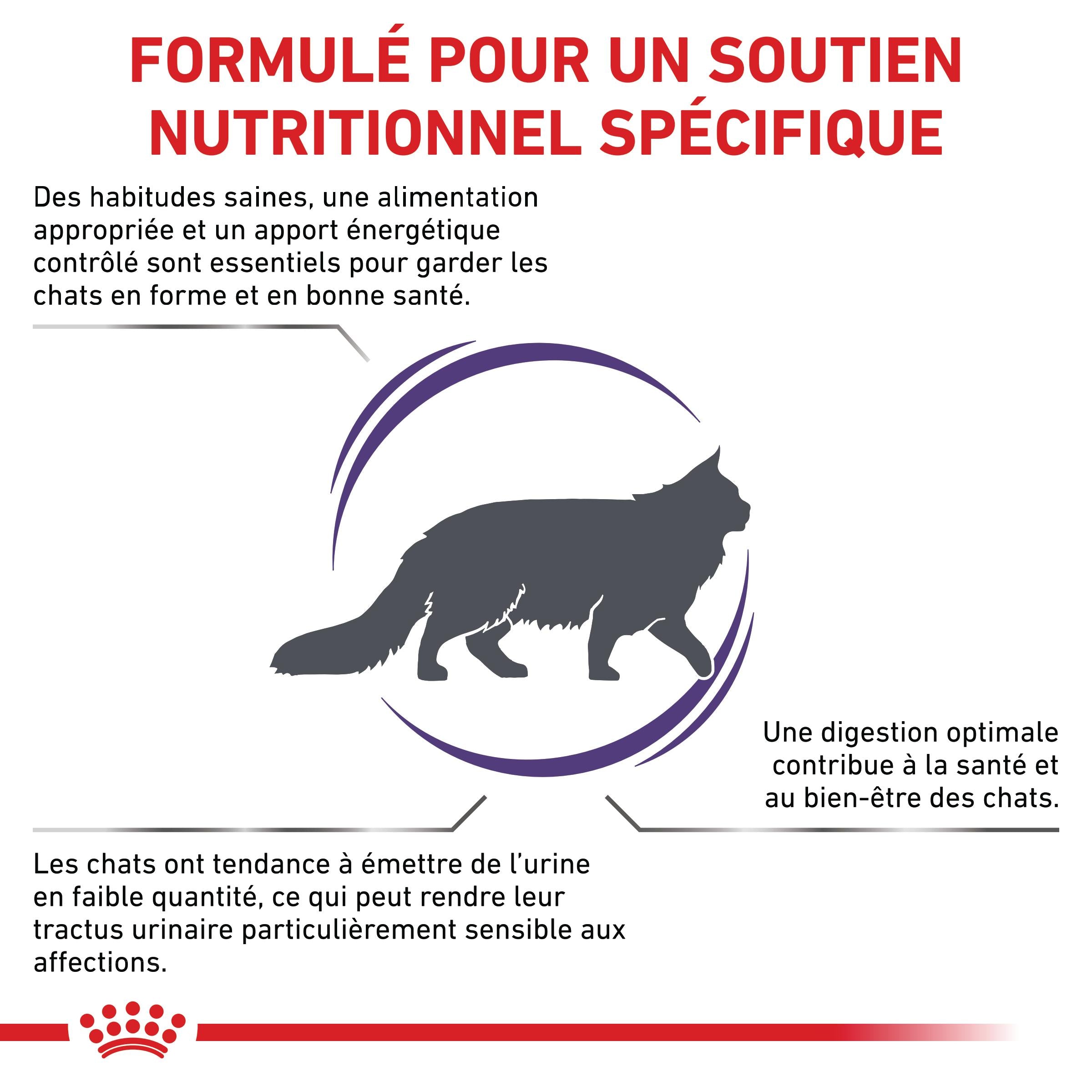 Royal Canin Vet Care Adult