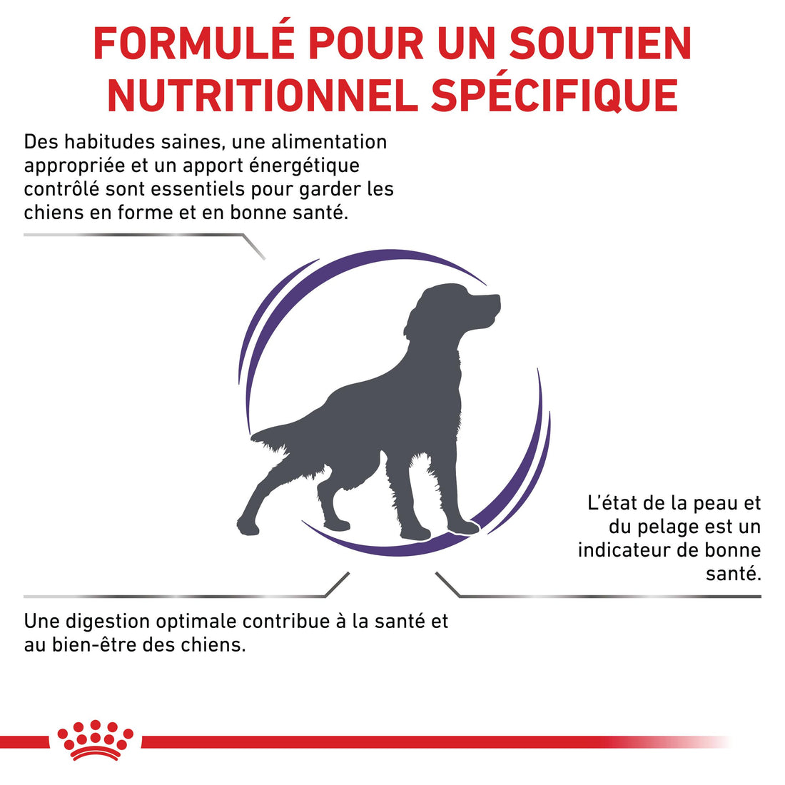 Royal Canin Veterinary Neutered Adult Medium Dogs