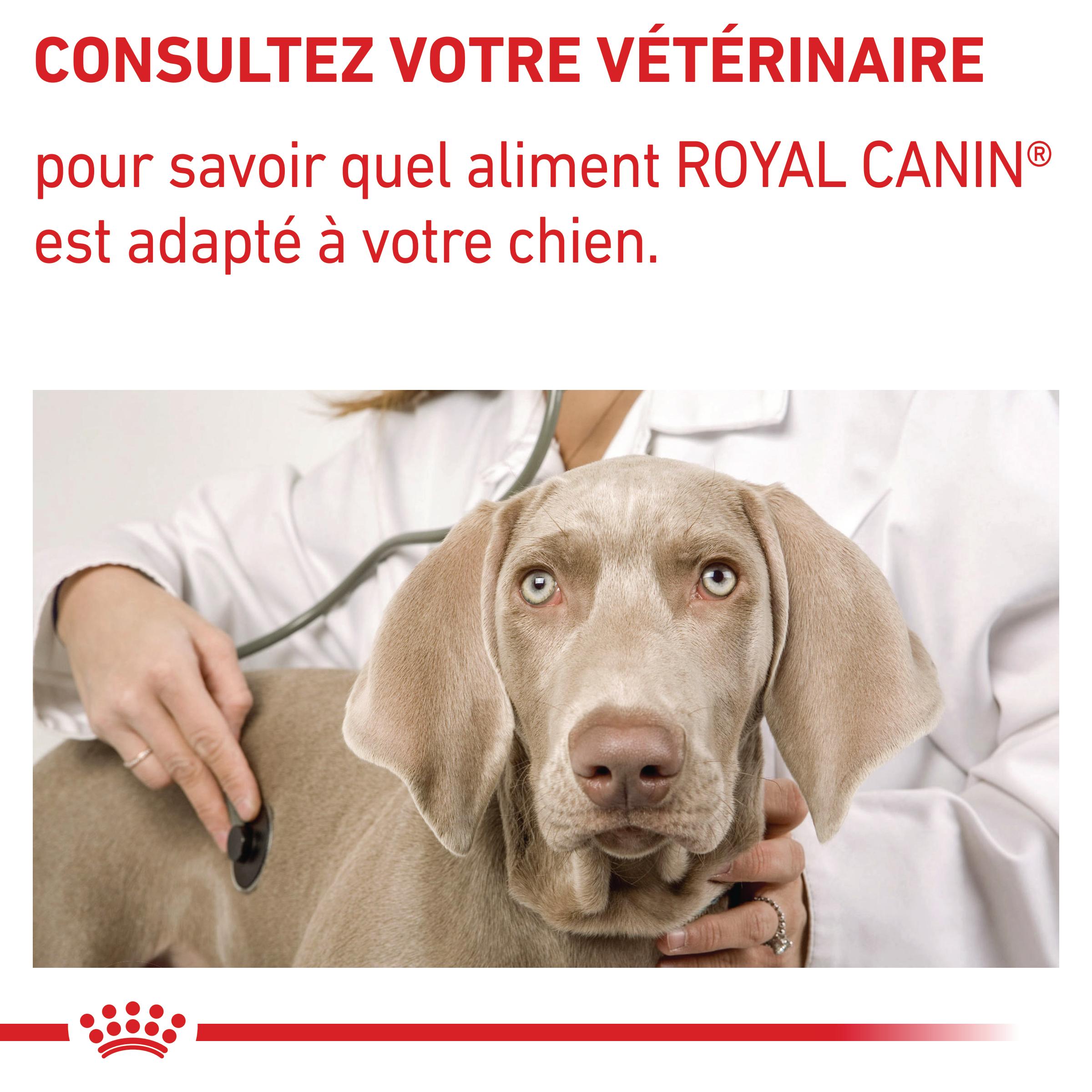 Royal Canin Veterinary Neutered Adult Medium Dogs