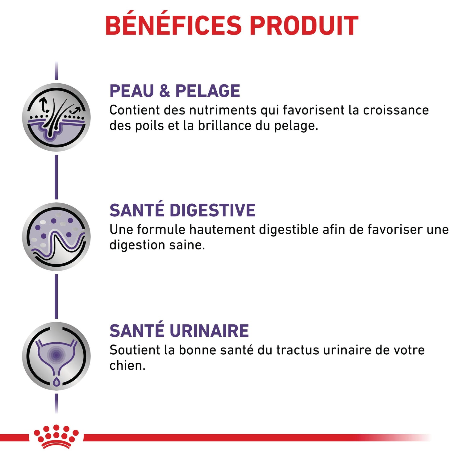 Royal Canin Veterinary Dog Adult - Pâtée pour chien