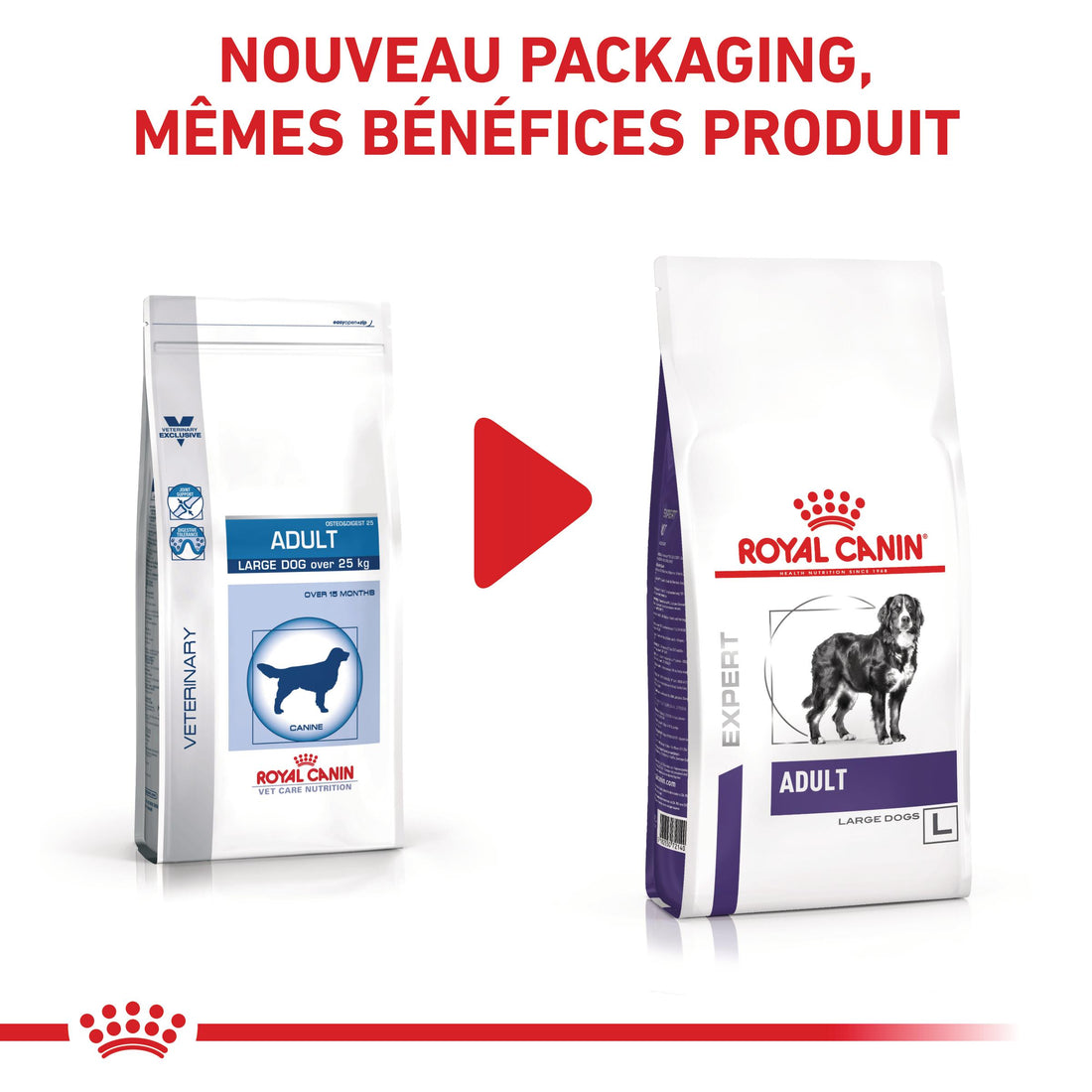 Royal Canin Veterinary Adult Large Dog