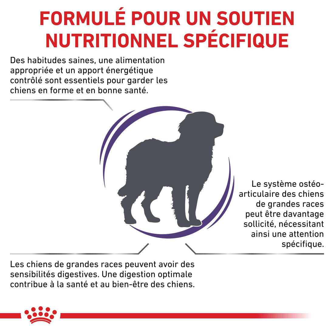 Royal Canin Veterinary Adult Large Dog