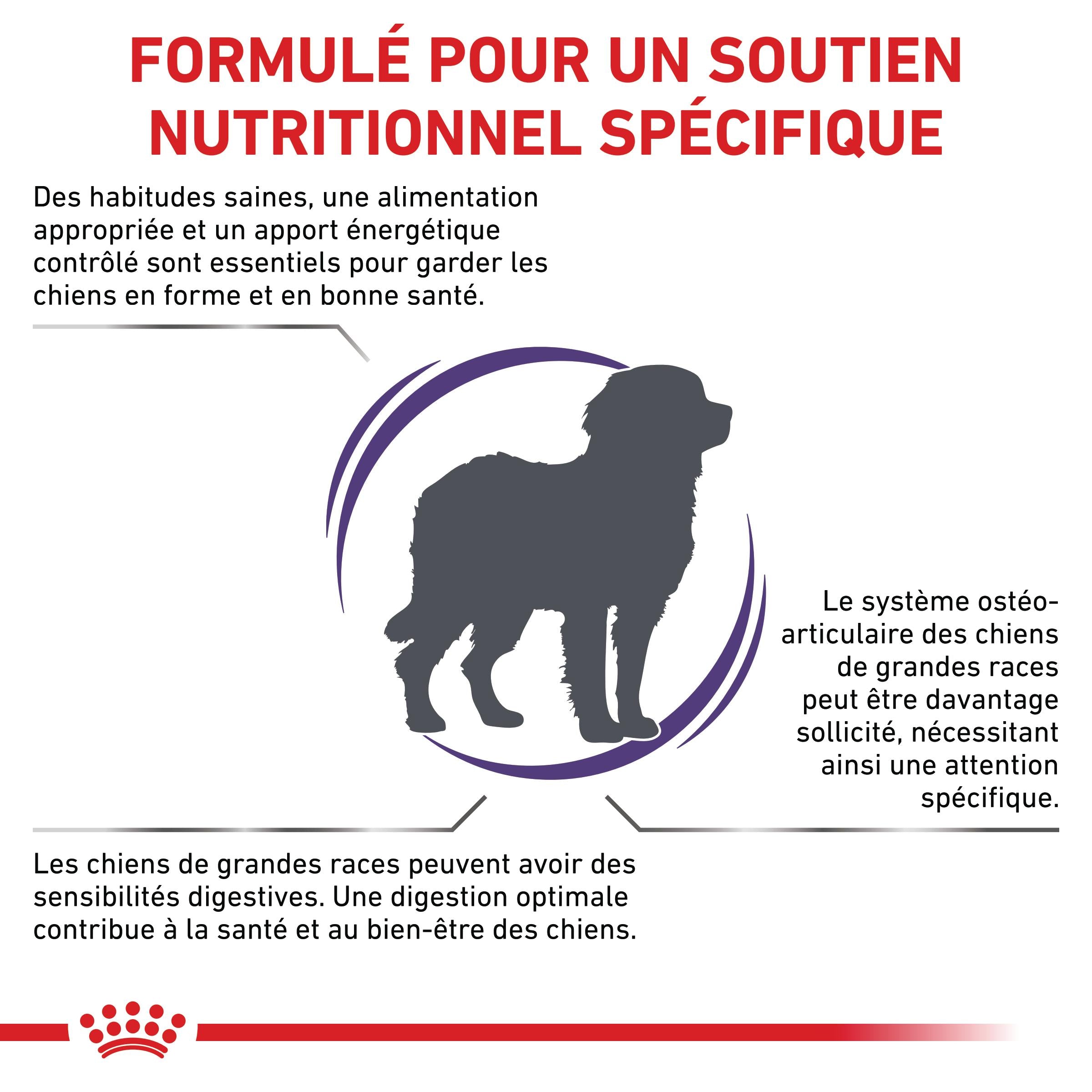 Royal Canin Veterinary Adult Large Dog