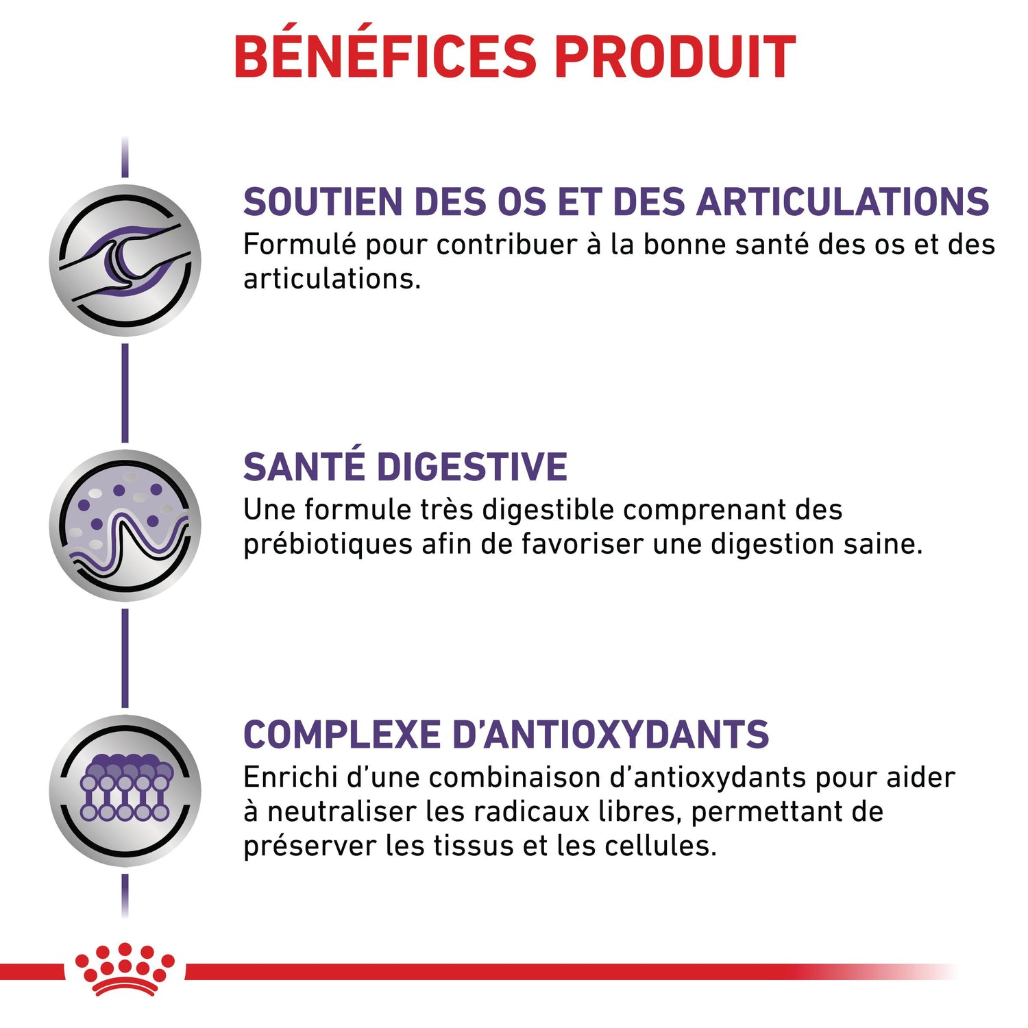 Royal Canin Veterinary Adult Large Dog