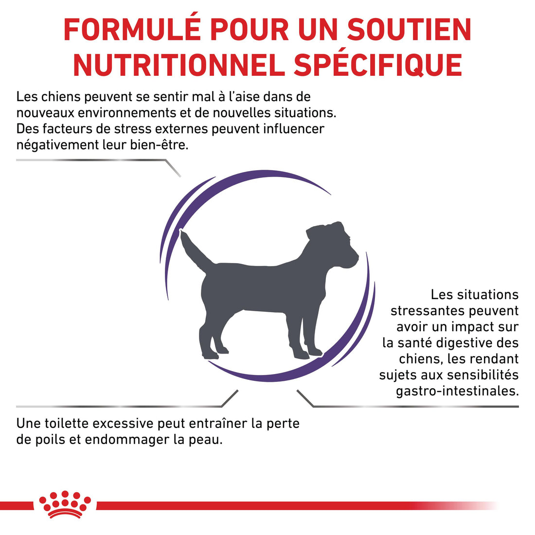 Royal Canin Vet Chien Small Calm
