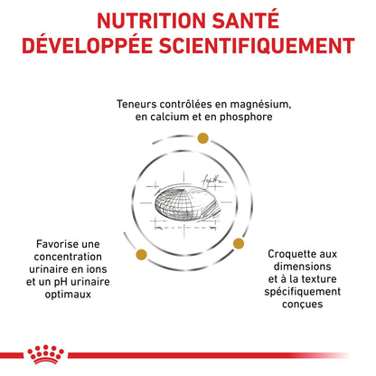 Royal Canin Veterinary Urinary S/O Small Dog - Croquettes pour chien