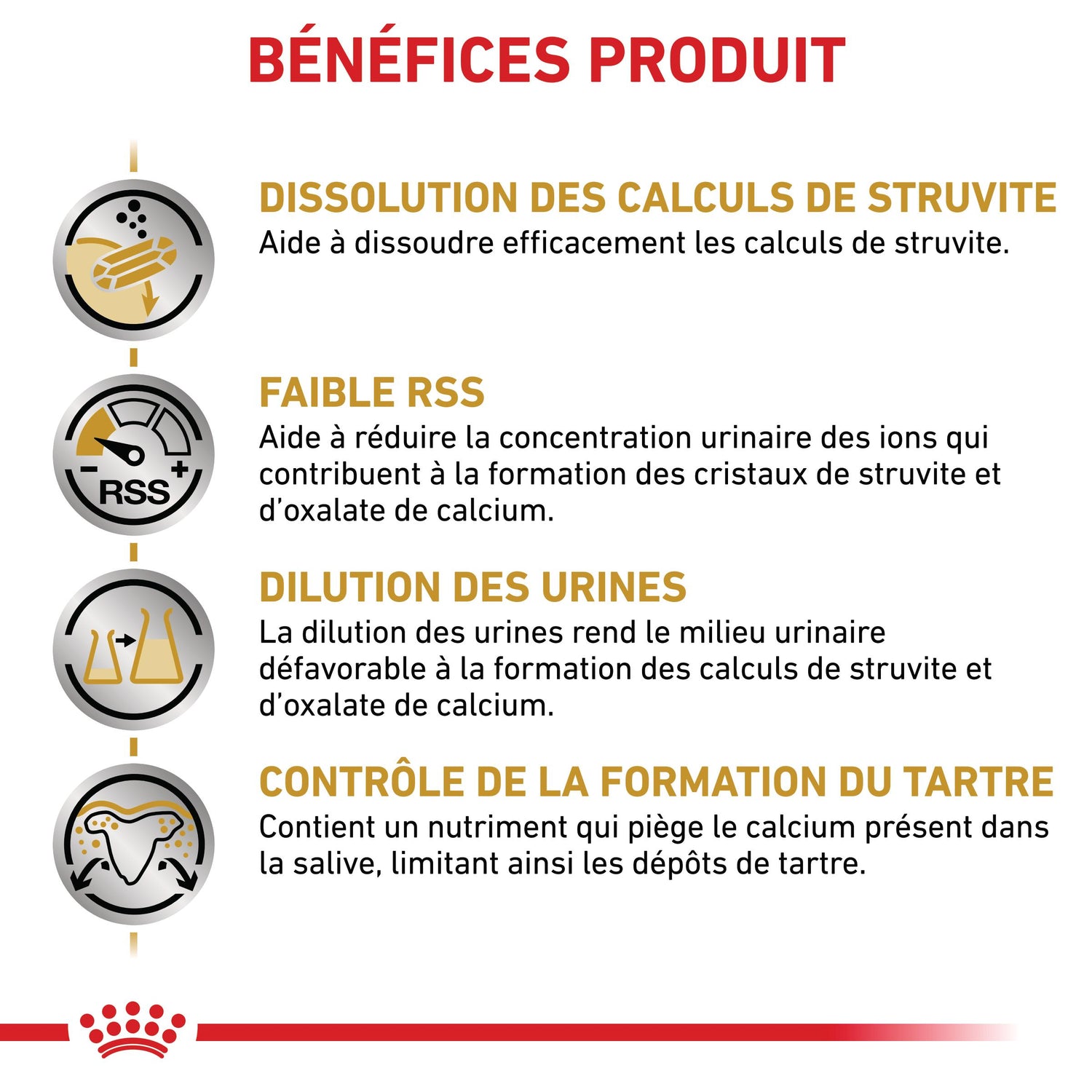 Royal Canin Veterinary Urinary S/O Small Dog - Croquettes pour chien
