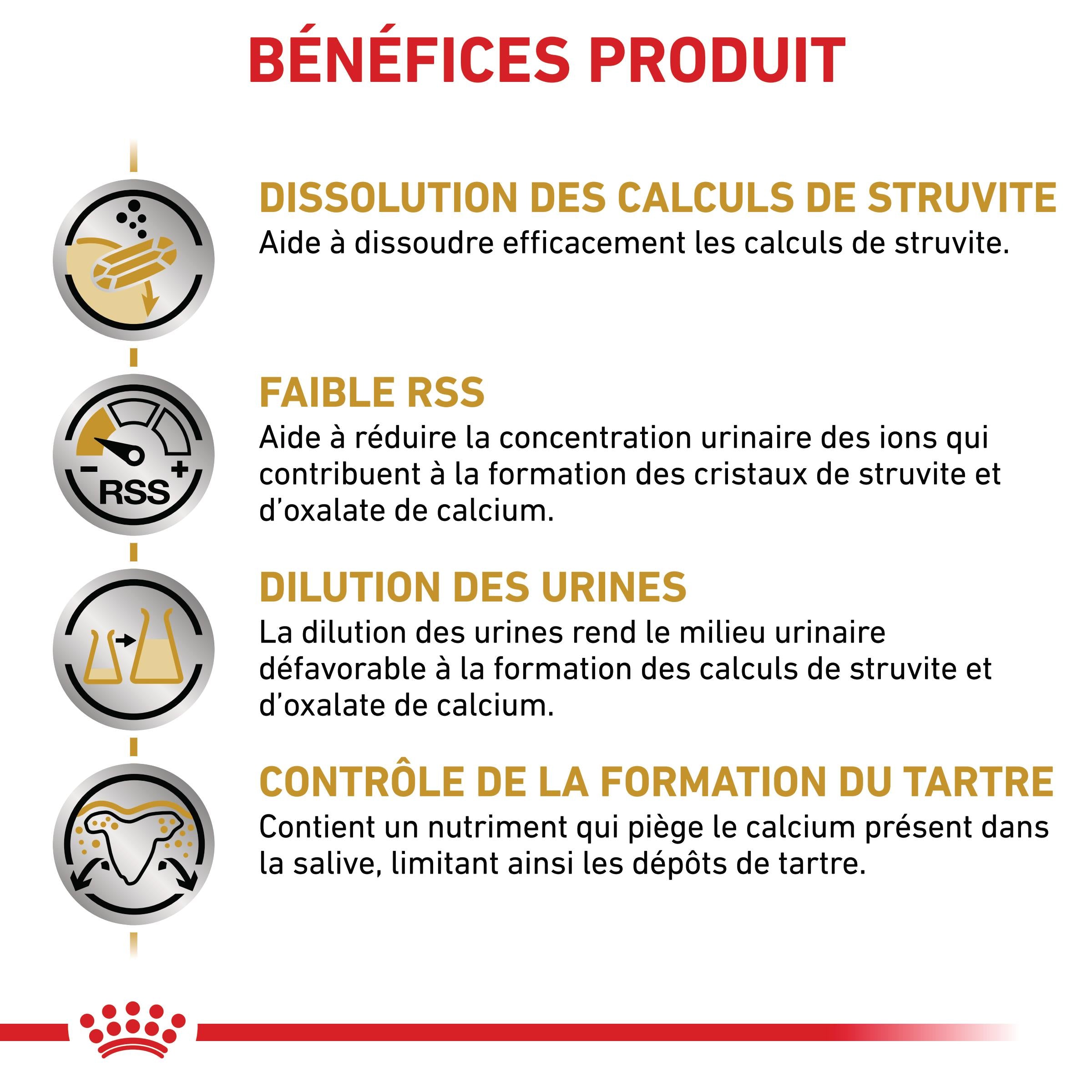 Royal Canin Veterinary Urinary S/O Small Dog - Croquettes pour chien