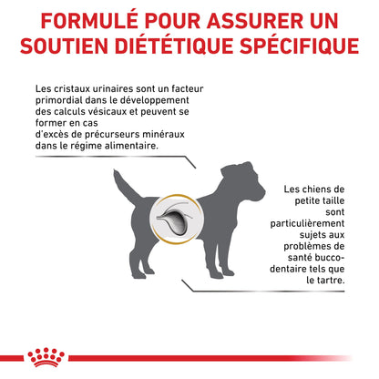 Royal Canin Veterinary Urinary S/O Small Dog - Croquettes pour chien