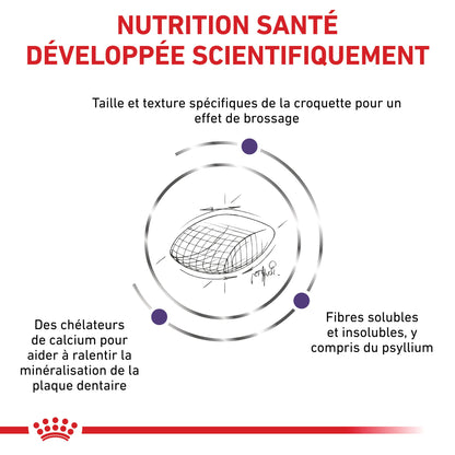 Royal Canin Veterinary Dental