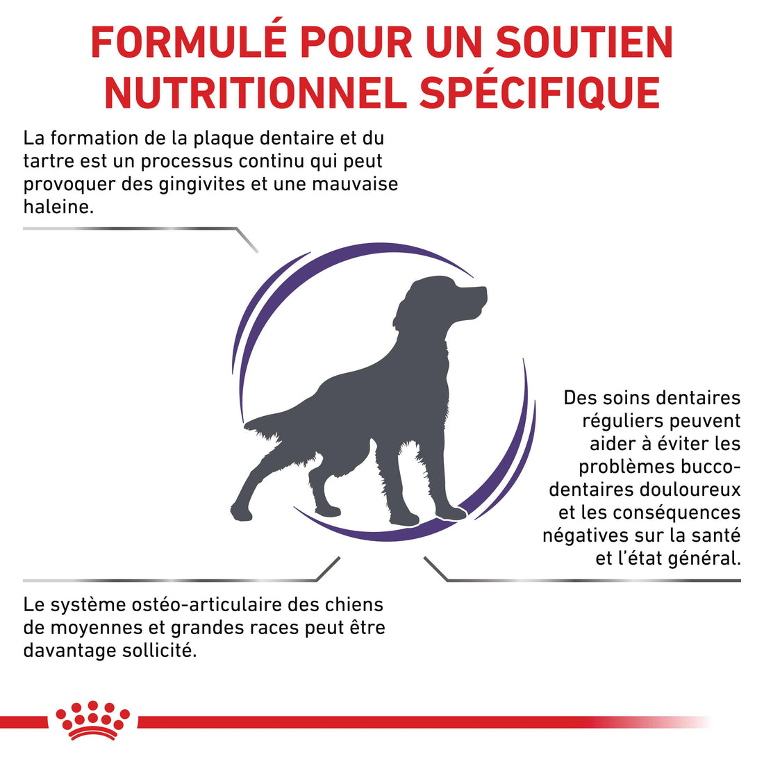Royal Canin Veterinary Dental Medium &amp; Large Dogs - Croquettes pour chien