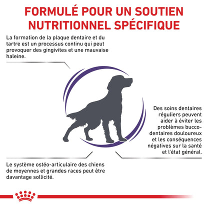 Royal Canin Veterinary Dental Medium &amp; Large Dogs - Croquettes pour chien