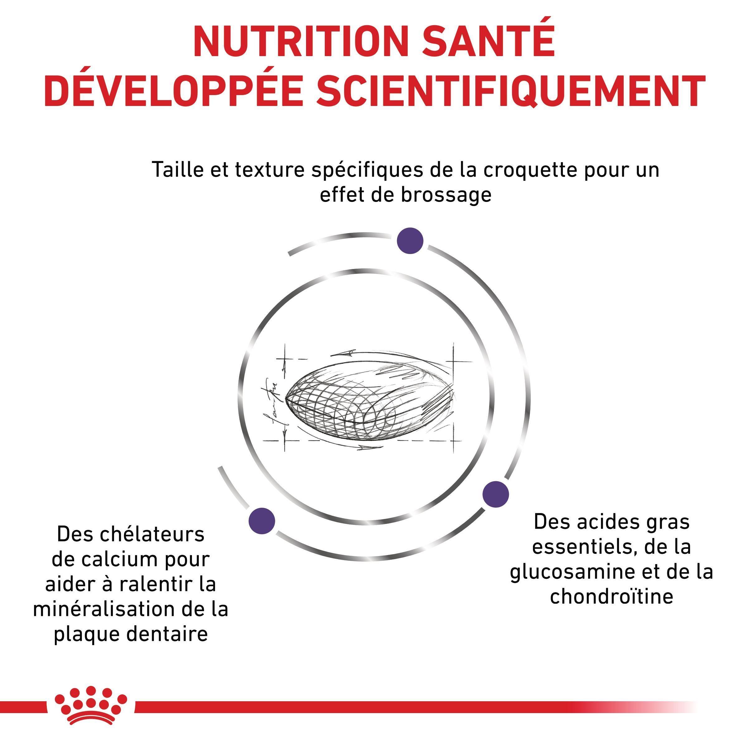 Royal Canin Veterinary Dental Medium &amp; Large Dogs - Croquettes pour chien