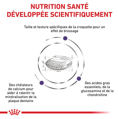 Royal Canin Veterinary Dental Medium &amp; Large Dogs - Croquettes pour chien