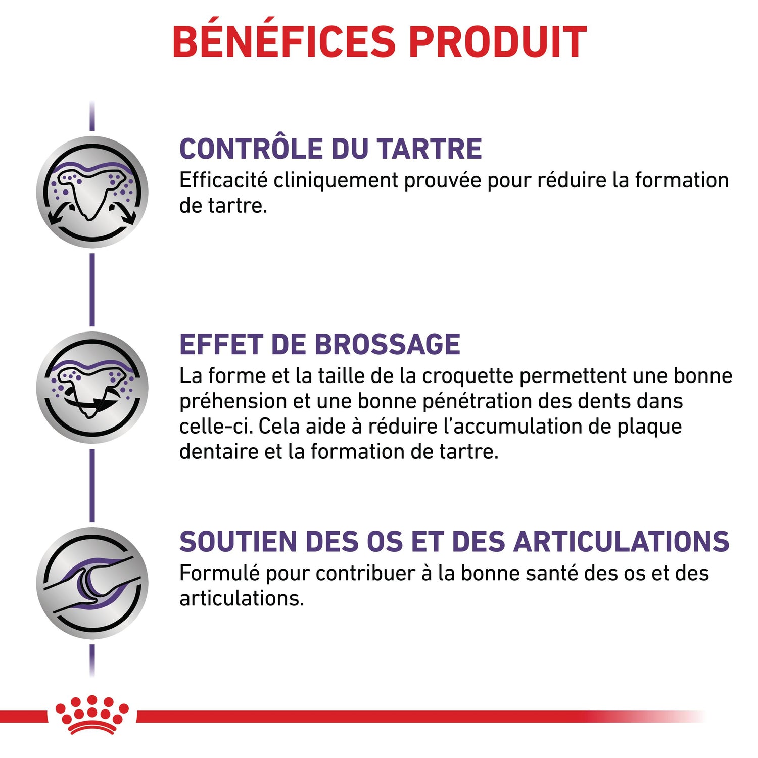 Royal Canin Veterinary Dental Medium &amp; Large Dogs - Croquettes pour chien