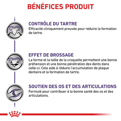 Royal Canin Veterinary Dental Medium &amp; Large Dogs - Croquettes pour chien