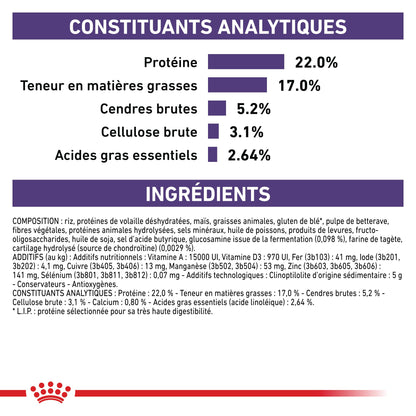 Royal Canin Veterinary Dental Medium &amp; Large Dogs - Croquettes pour chien