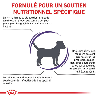 Royal Canin Veterinary Dental Small Dog