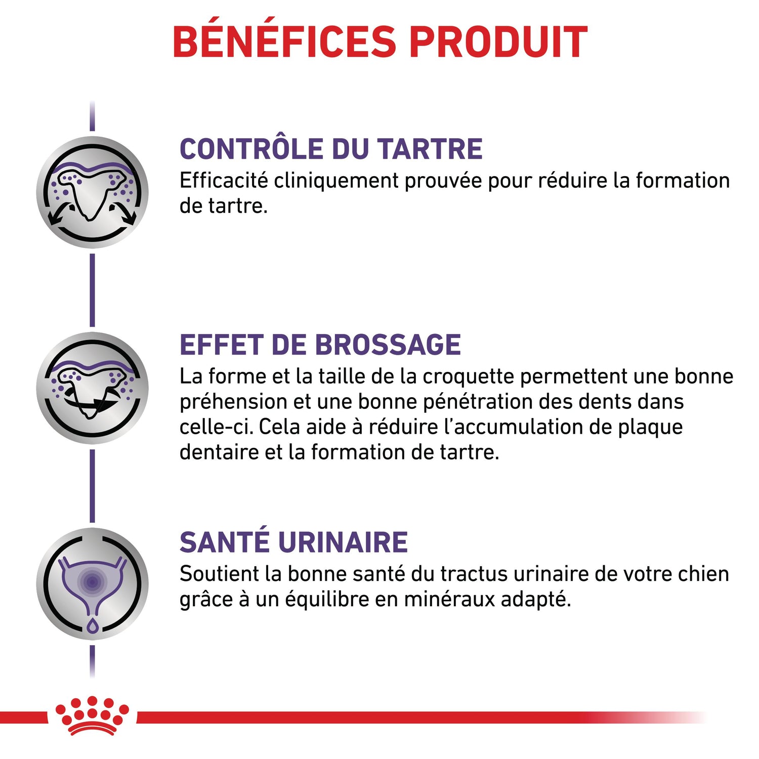 Royal Canin Veterinary Dental Small Dog