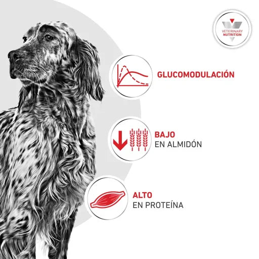 Royal Canin Glyobalance
