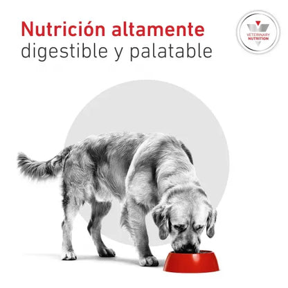 Royal Canin Glyobalance