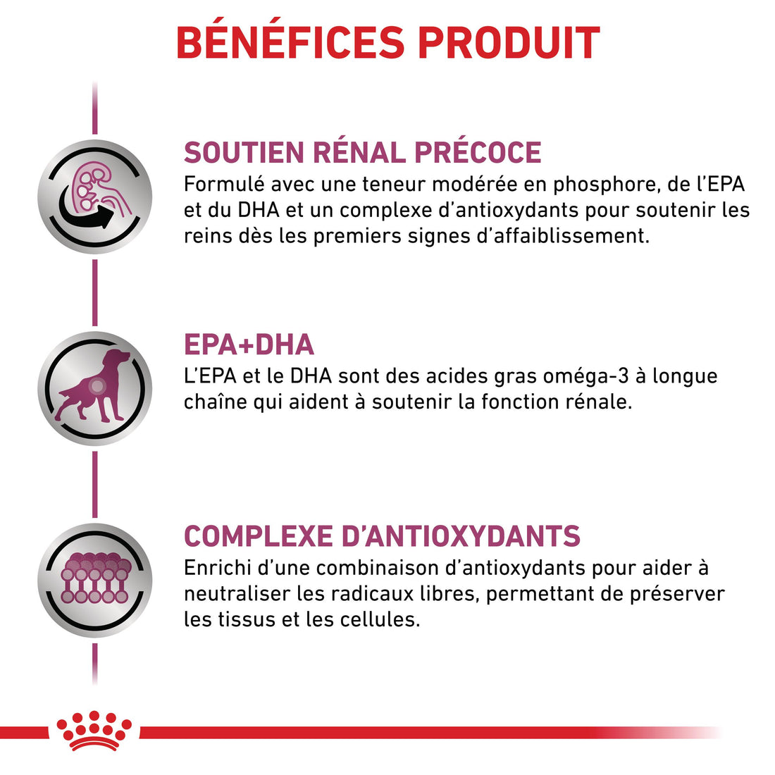Royal Canin Early Renal - Pâtée pour chien