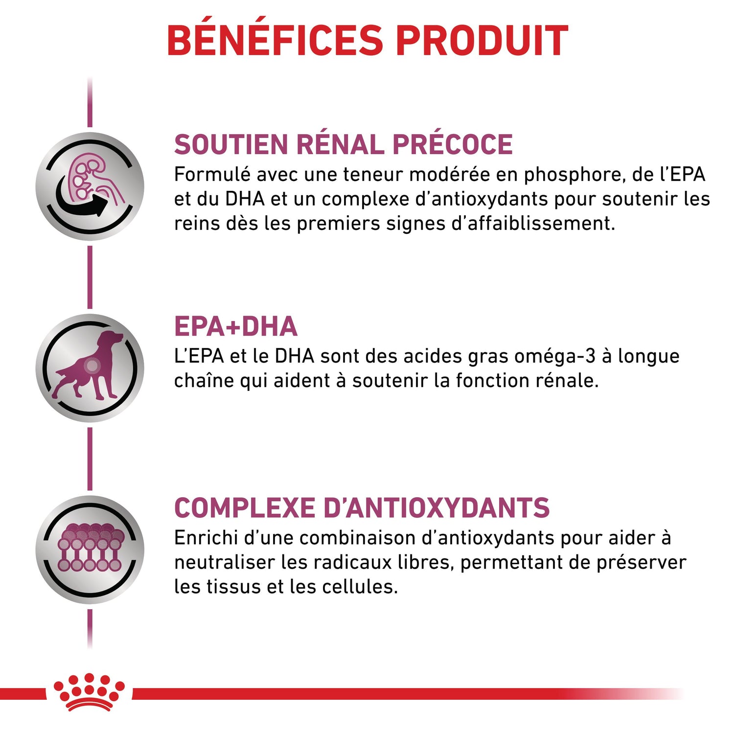 Royal Canin Early Renal - Pâtée pour chien
