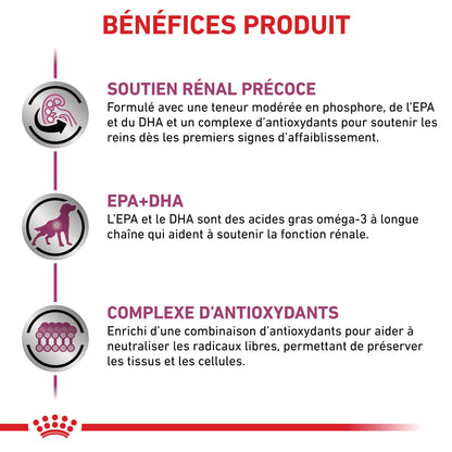 Royal Canin Early Renal - Pâtée pour chien